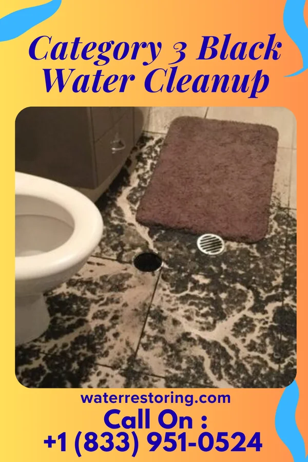 Category 3 Black Water Cleanup in McGregor, MN