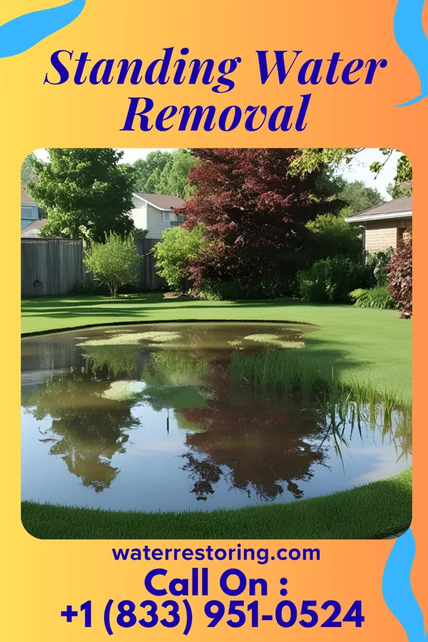 Standing Water Removal in McGregor, MN
